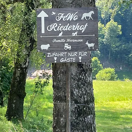 Riederhof פלינטסבאך